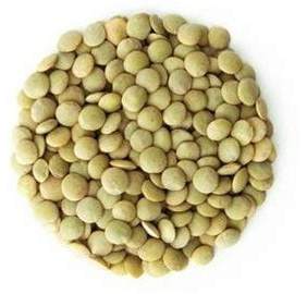 Green Lentil 1kg