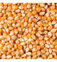 Popcorn 1kg