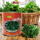 Bestaste Fried Herbs Sabz 450g