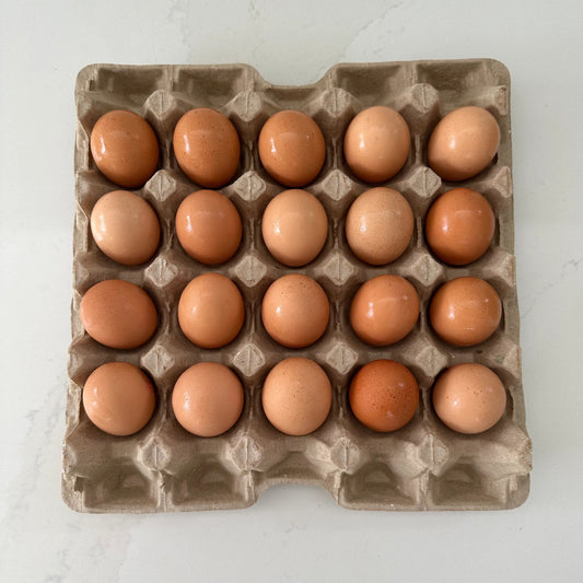 Tray 20 Eggs