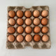 Tray 20 Eggs