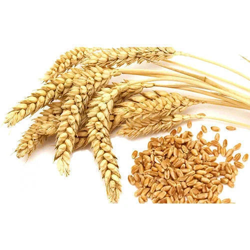 Wheat 1kg
